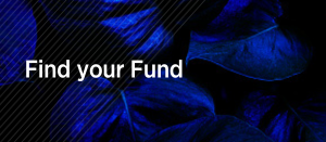 BVI Funds eTool - Find your Fund